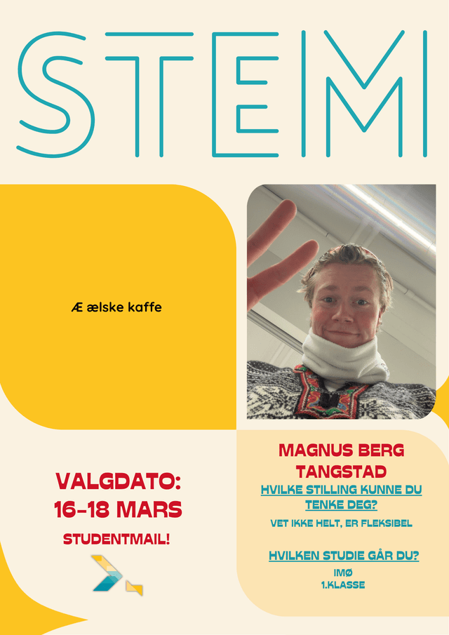 Magnus Berg Tangstad